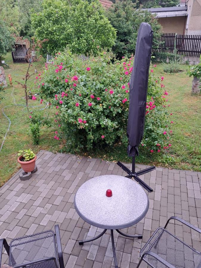 Ferienwohnung Rosengarten Ballenstedt Luaran gambar