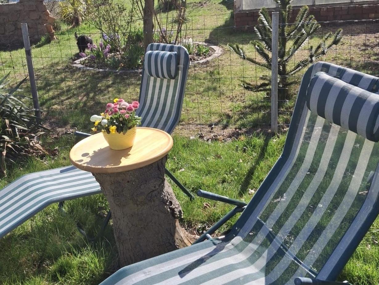 Ferienwohnung Rosengarten Ballenstedt Luaran gambar